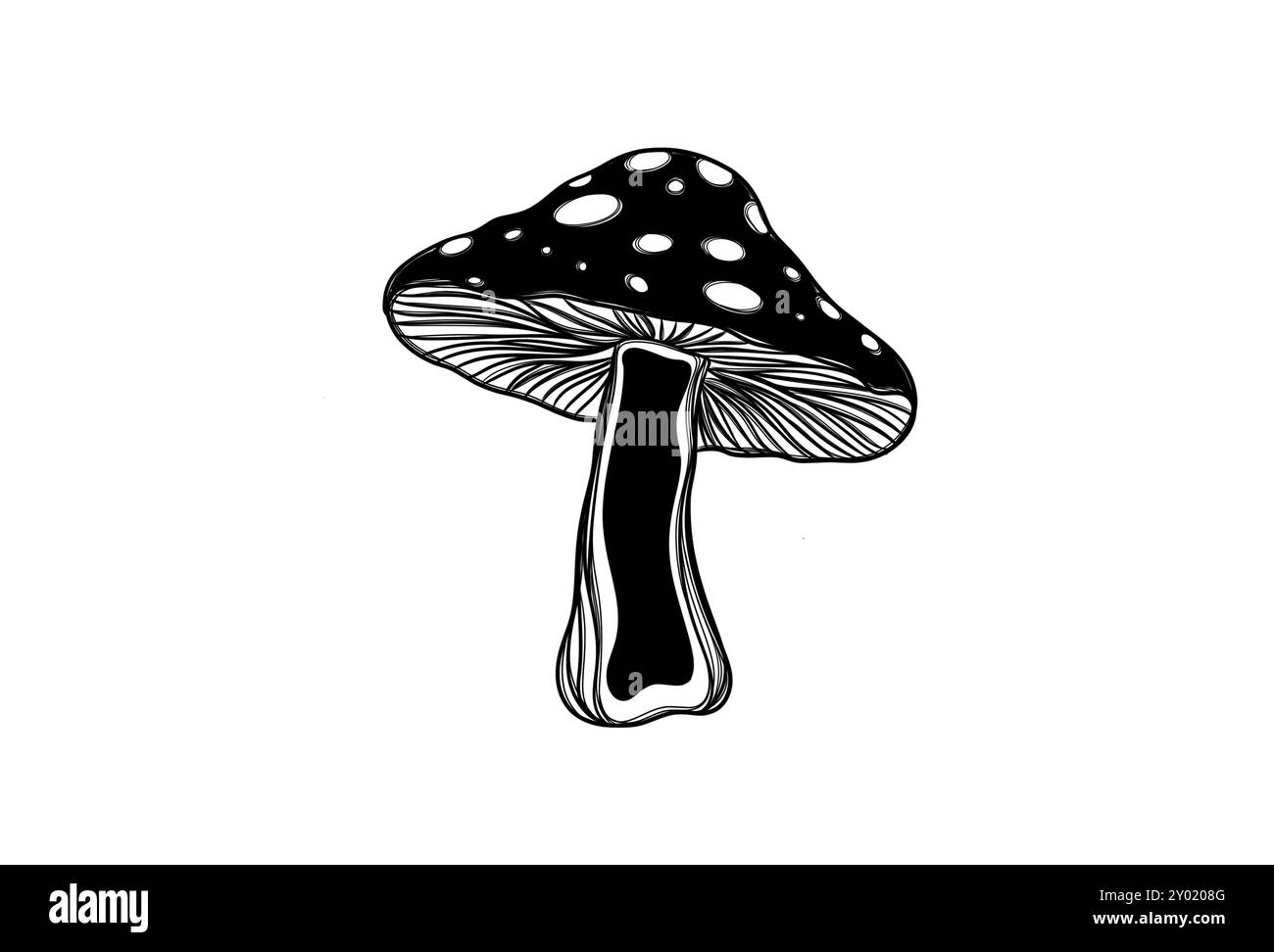 Autocollant noir mouche agarique champignon, modèle pour impression sur un T-shirt Banque D'Images