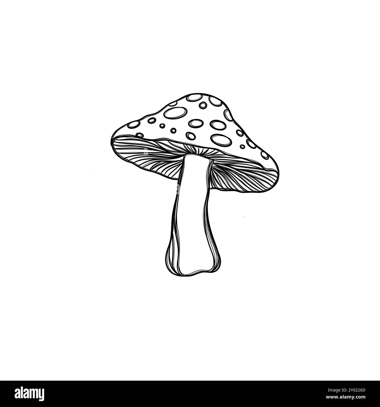 Sticker champignon agarique Fly, modèle pour impression sur un T-shirt Banque D'Images