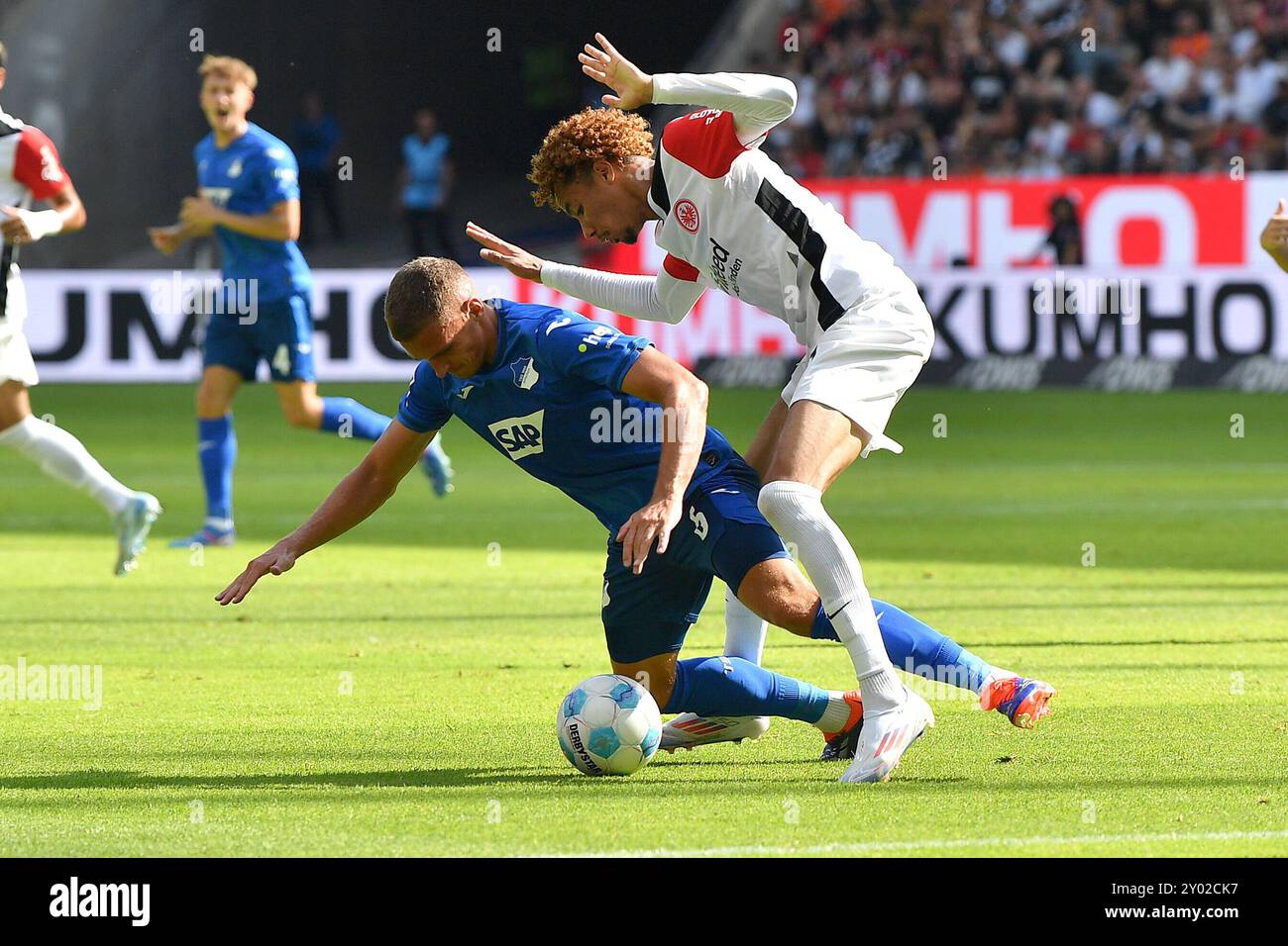 Francfort, Allemagne. 31 août 2024. Fussball 1. Bundesliga 2. Spieltag Eintracht Frankfurt - TSG 1899 Hoffenheim am 31.08.2024 im Deutsche Bank Park in Frankfurt Grischa Proemel ( Hoffenheim ), links - Hugo Ekitike ( Francfort ), rechts la réglementation DFL interdit toute utilisation de photographies comme séquences d'images et/ou quasi-vidéo. Foto : Revierfoto crédit : ddp Media GmbH/Alamy Live News Banque D'Images