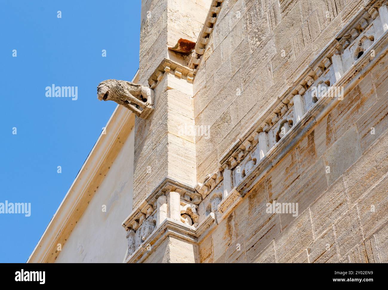 Gargouille en forme de lion à l'entrée de la Concattedrale di Santa Maria Assunta, à Orbetello, province de Grosseto, région Toscane, Italie Banque D'Images
