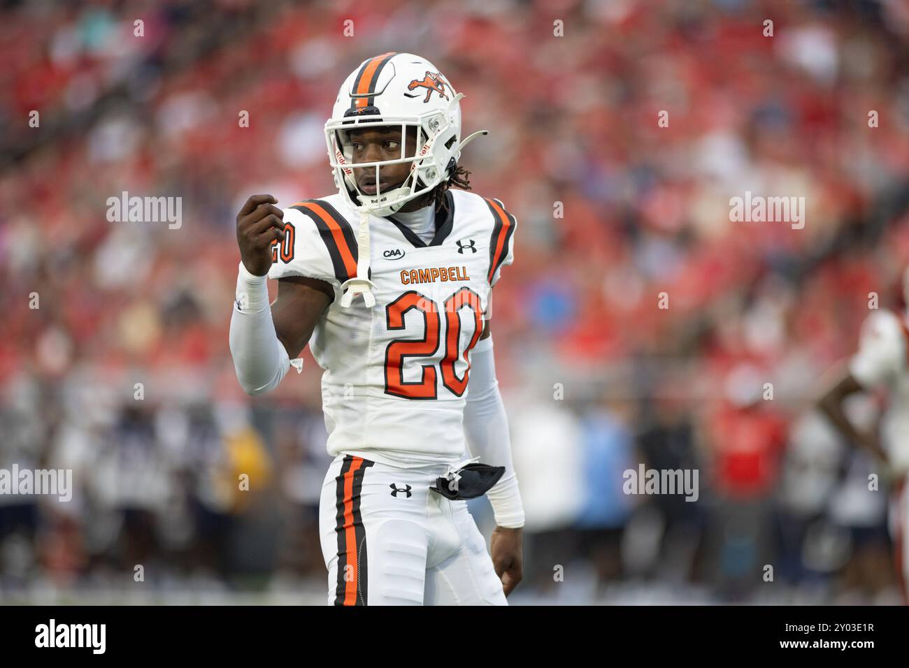 31 août 2024 : le cornerback Malik Willis (20 ans) de Campbell Fighting Camels regarde le banc pendant le match de football NCAA entre les Campbell Fighting Camels et les Liberty Flames au Williams Stadium de Lynchburg, en Virginie. Jonathan Huff/CSM Banque D'Images