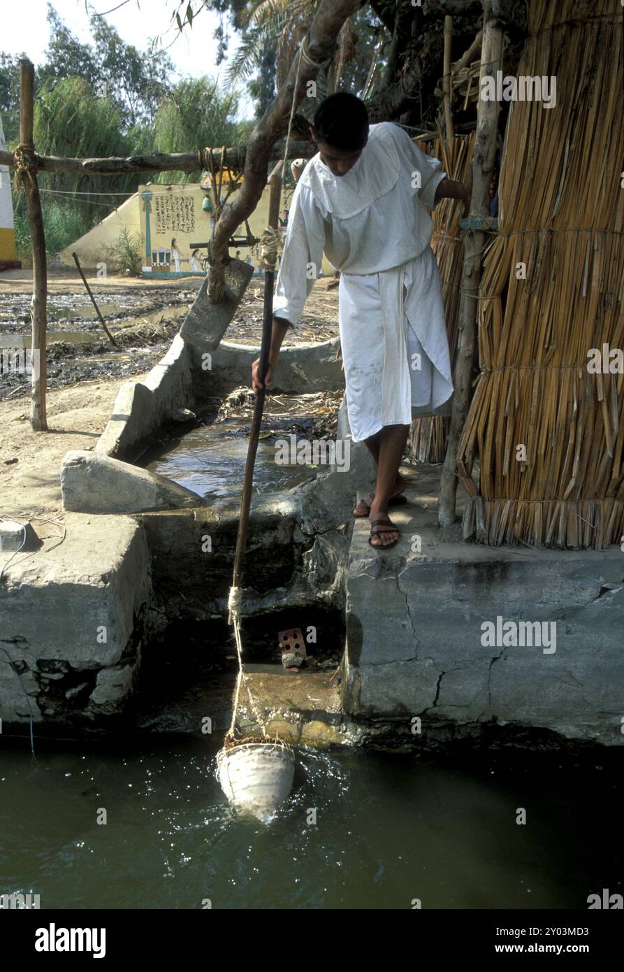 Farmer démontre un shaduf traditionnel tissé de fronde de palmier pour l'irrigation dans le village pharaonique au Caire. Banque D'Images