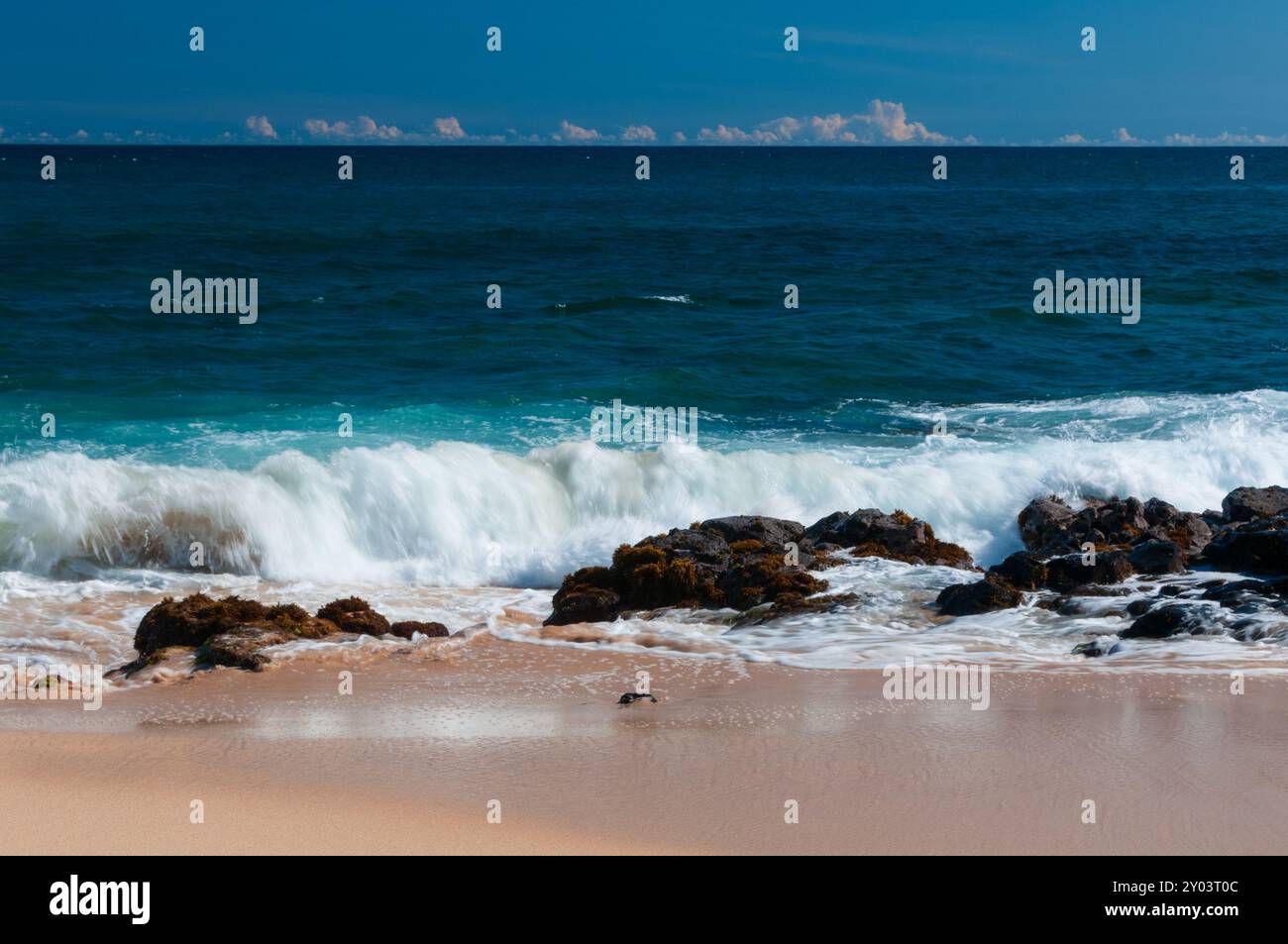 Les vagues s'écrasent sur du sable immaculé à Kauai Hawaii Banque D'Images