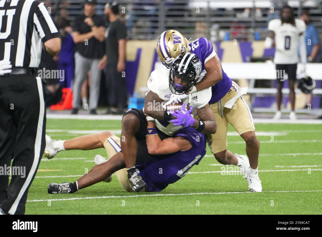 Seattle, États-Unis. 31 août 2024. Weber State Wildcats Running Back Adrian Cormier (2) est affronté par Vincent Holmes (27), sécurité des Huskies de Washington, au quatrième quart-temps d'un match de football universitaire au Husky Stadium de Seattle, Washington, le 31 août 2024. (Crédit photo Nate Koppelman/Sipa USA) crédit : Sipa USA/Alamy Live News Banque D'Images