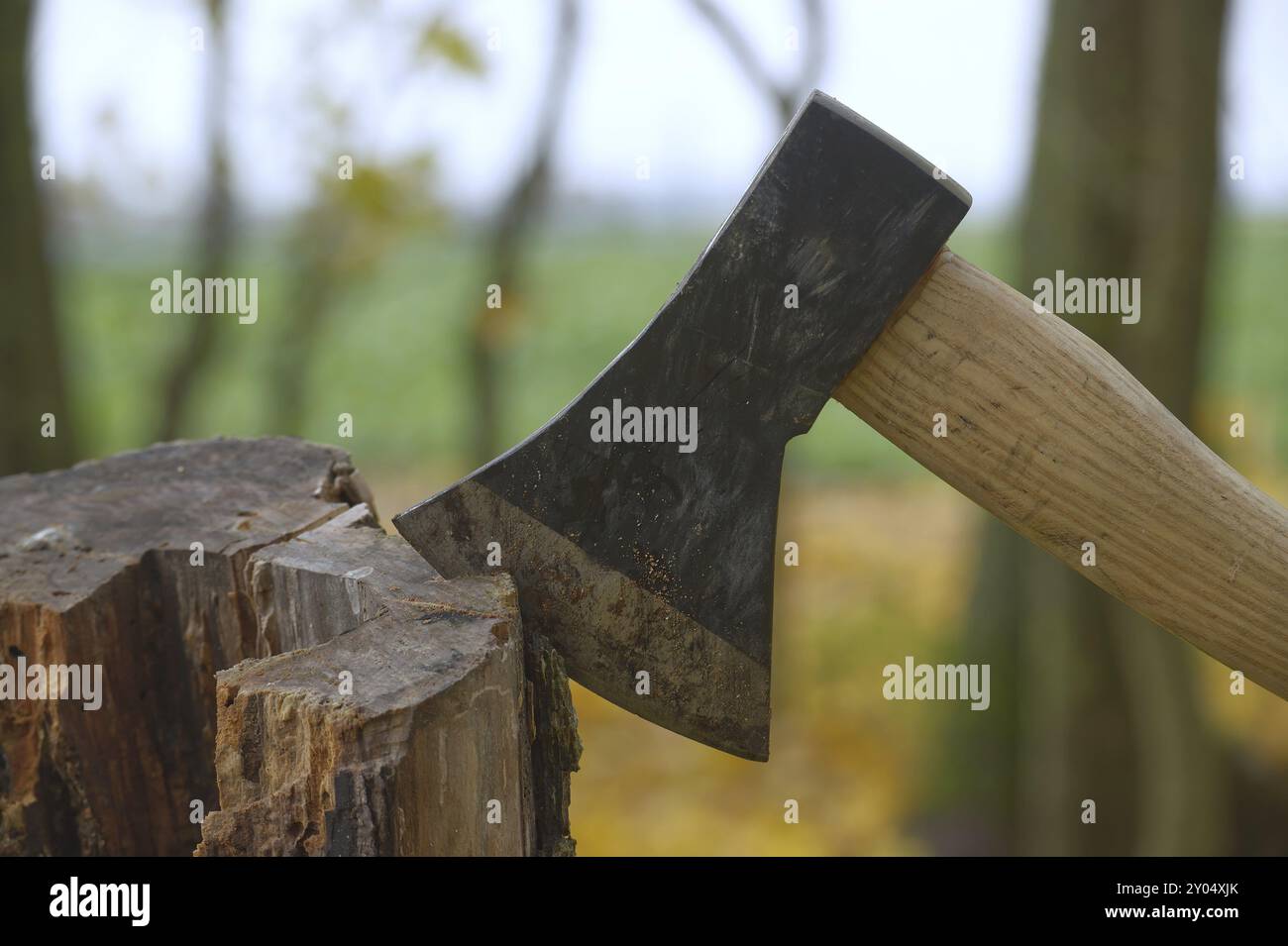 Hache avec un manche en bois brun et une tête noire logée dans un morceau de bois ou souche d'arbre dans une forêt ou un environnement extérieur naturel avec gr flou Banque D'Images