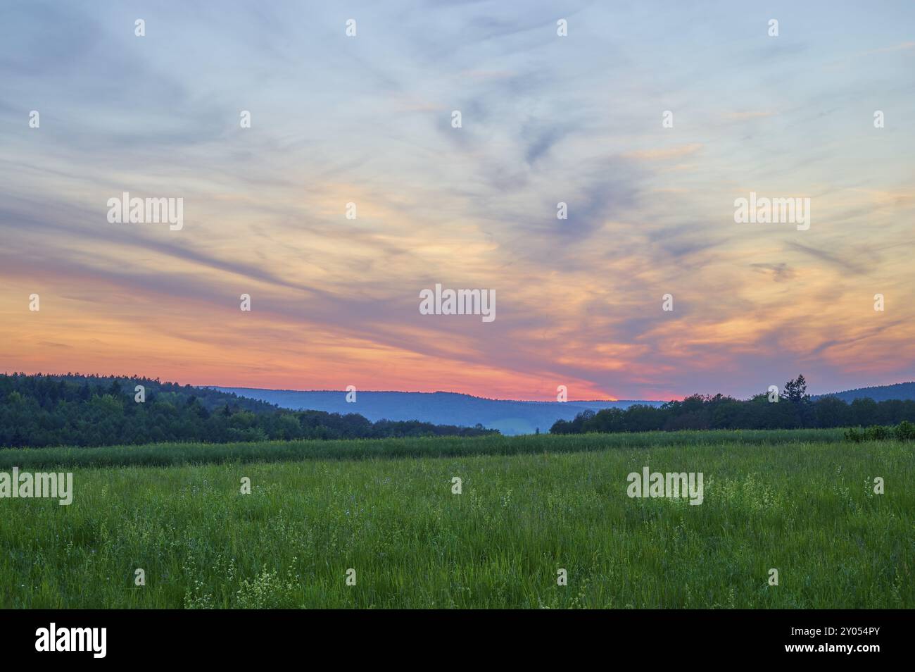 Champ vert avec des arbres en arrière-plan sous un coucher de soleil dramatiquement illuminé, le ciel est baigné de tons orange et bleu, été, Moenchberg, Mlte Banque D'Images