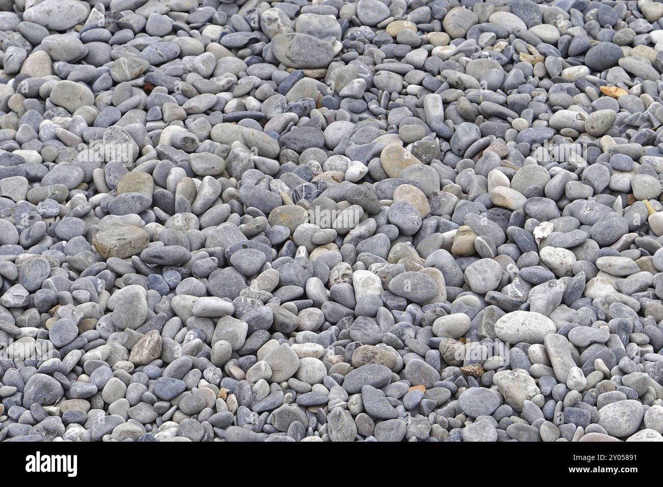 Gros cailloux au fond de plage Banque D'Images