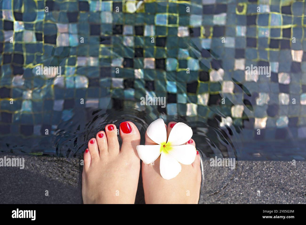 Beaux pieds féminins en piscine avec fleur de frangipanier blanc Banque D'Images