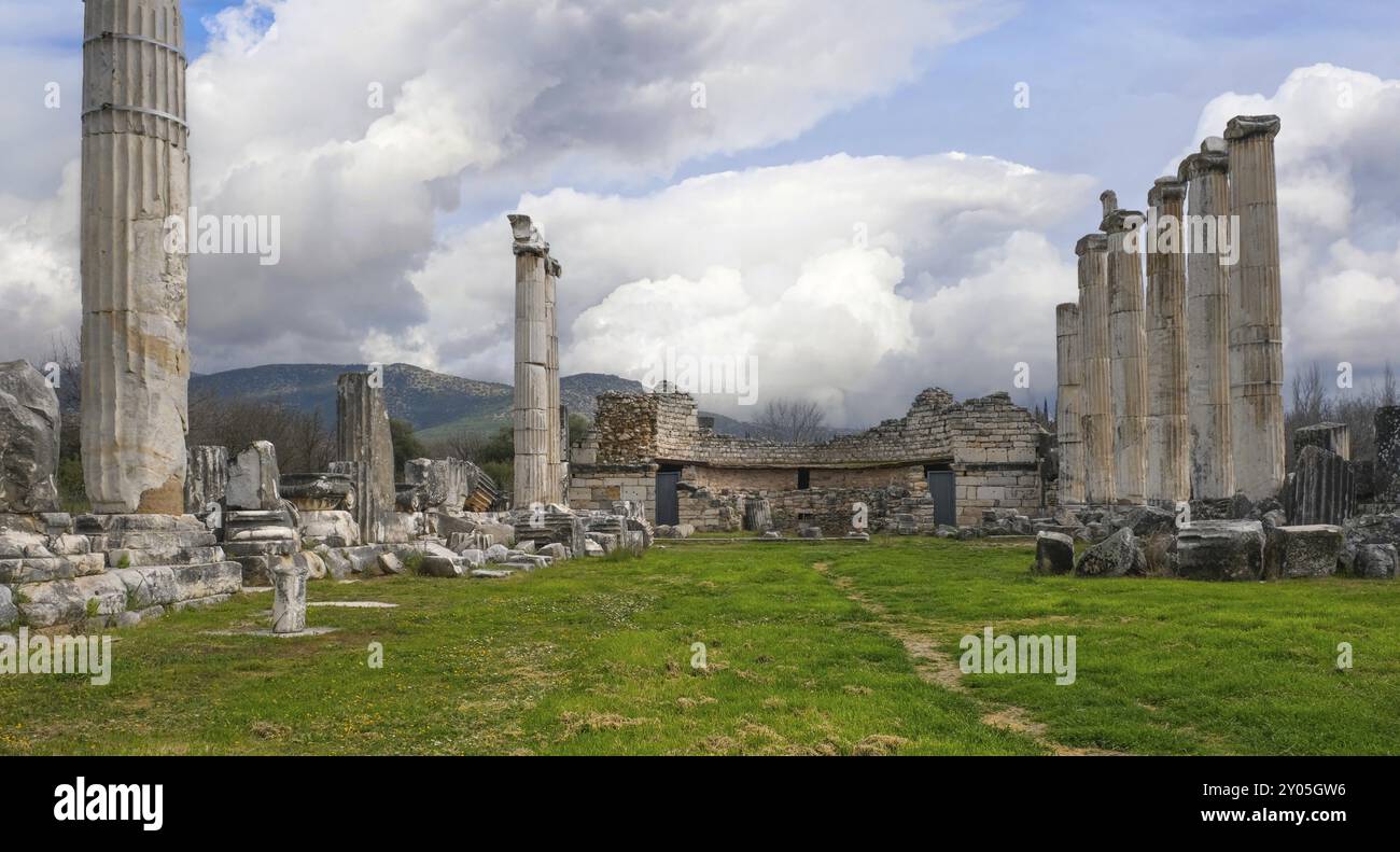 Site de fouilles de l'ancienne ville d'Aphrodisias, Temple d'Aphrodite, aujourd'hui ville de Geyre, Karacasu, Aydin, Turquie occidentale, Turquie, Asie Banque D'Images