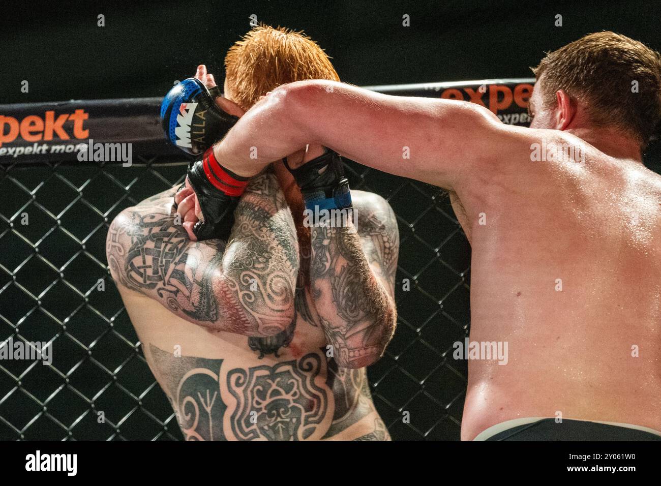 Julius Bernsdorf (GER) contre Jakob Dyrup (DEN). MMA GALLA Vol. 20. Nordiske mesterskaber i MMA ( Finaler ) + MMA GALLA Vol. 20 Glostrup, Danmark. 31 au Banque D'Images