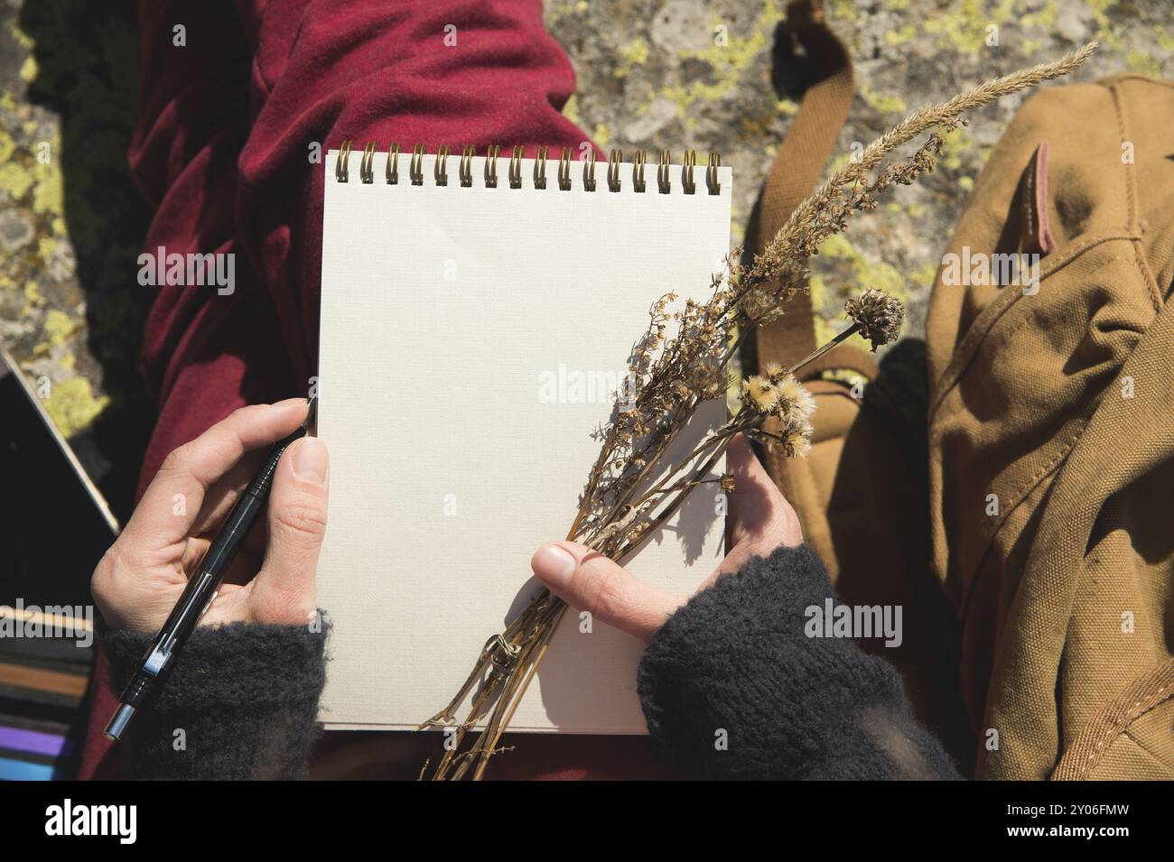 Gros plan sur les mains d'une fille tenant un cahier vierge. Un bouquet sec d'herbes dans sa main et un crayon. Artiste designer de voyages Banque D'Images
