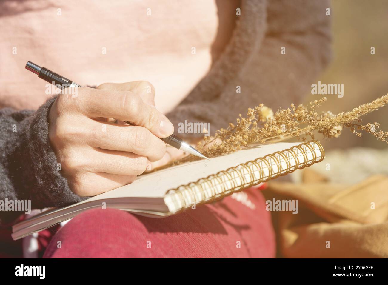 Gros plan sur les mains d'une fille tenant un cahier vierge. Un bouquet sec d'herbes dans sa main et un crayon. Artiste designer de voyages Banque D'Images