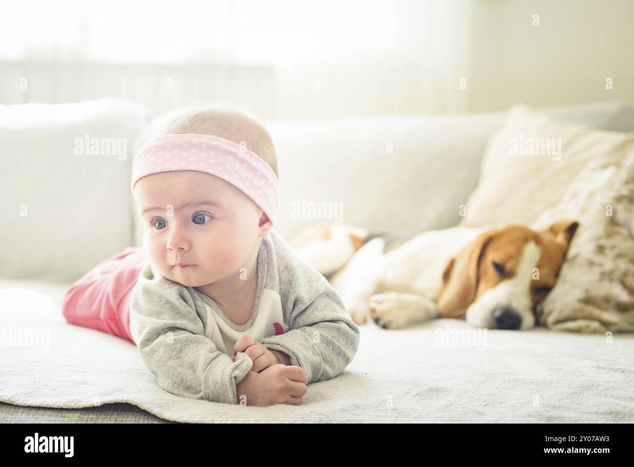 petite fille de 6 mois allongée à côté du chien beagle sur un canapé. Intérieur lumineux et ensoleillé Banque D'Images