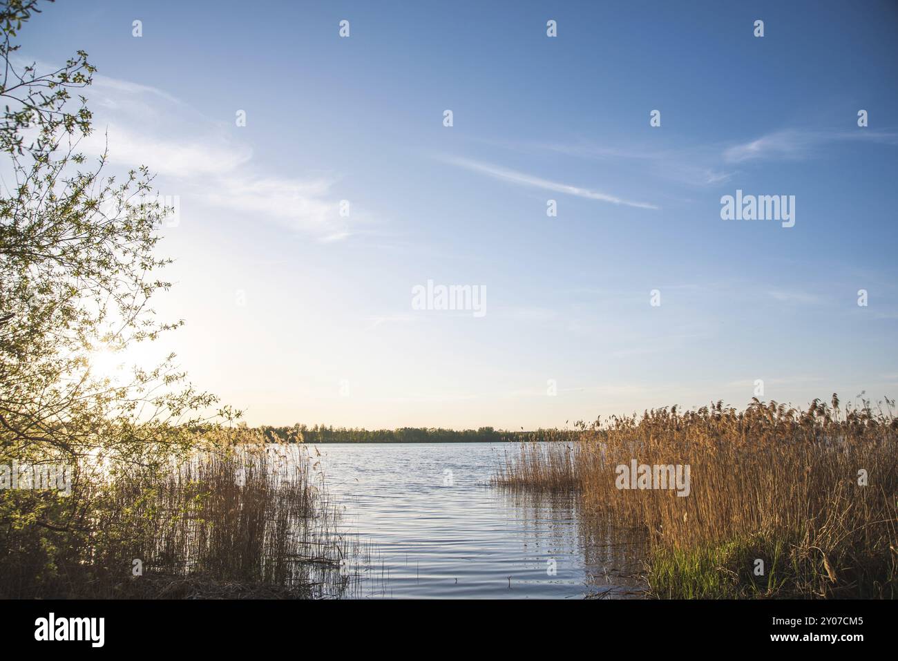 Rive verte d'un lac. Coucher de soleil. Concept de pêche Banque D'Images