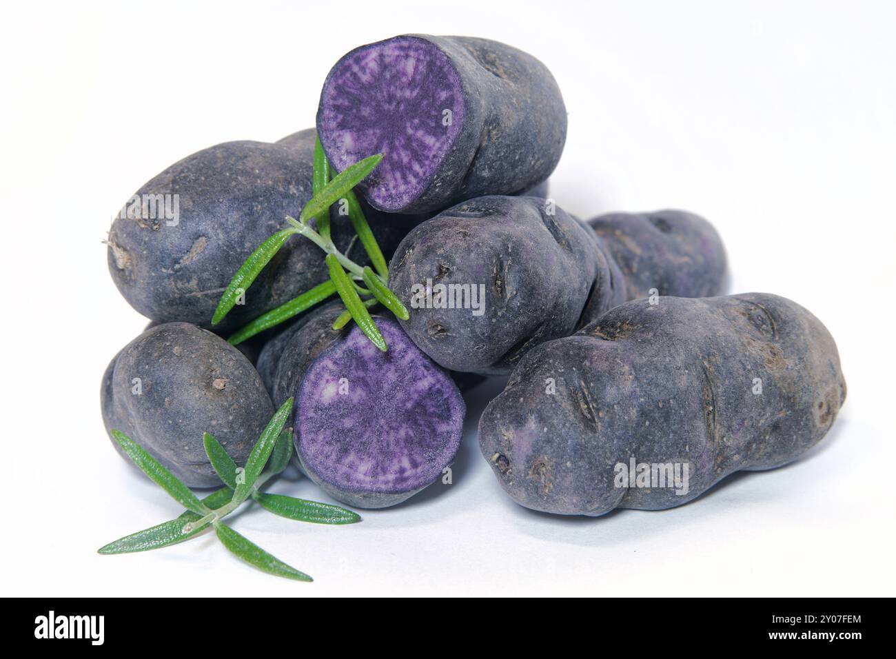 Pommes de terre Vitelotte sur une table Banque D'Images