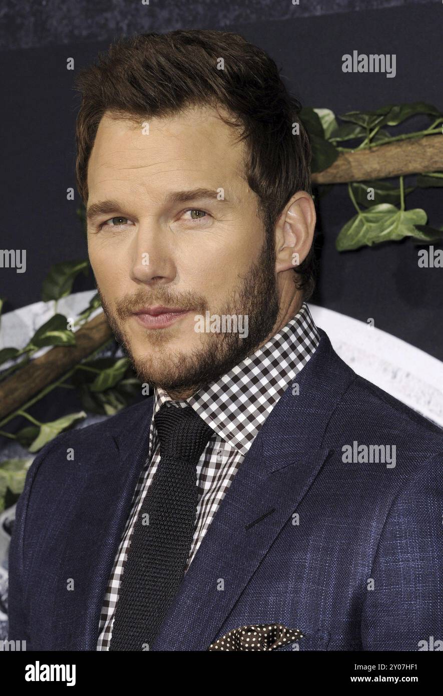 Chris Pratt lors de la première à Los Angeles du « Jurassic World », qui s'est tenue au Dolby Theatre à Hollywood, aux États-Unis, le 9 juin 2015.Crédit : Lumeimages.com Banque D'Images