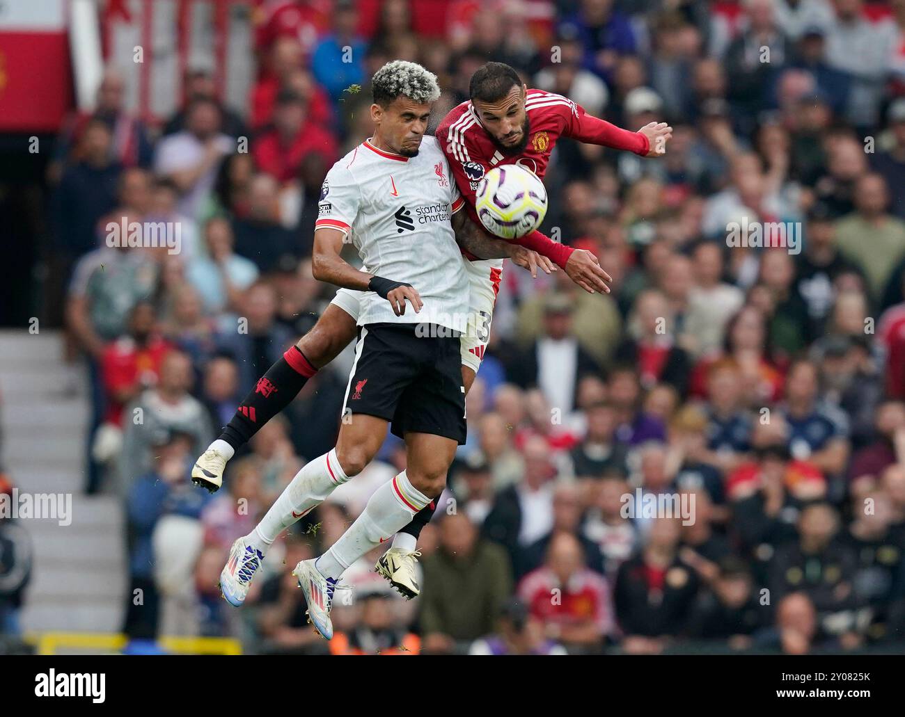 Manchester, Royaume-Uni. 1er septembre 2024. Luis Diaz de Liverpool (l) est défié par Noussair Mazraoui de Manchester United lors du match de premier League à Old Trafford, Manchester. Le crédit photo devrait se lire : Andrew Yates/Sportimage crédit : Sportimage Ltd/Alamy Live News Banque D'Images