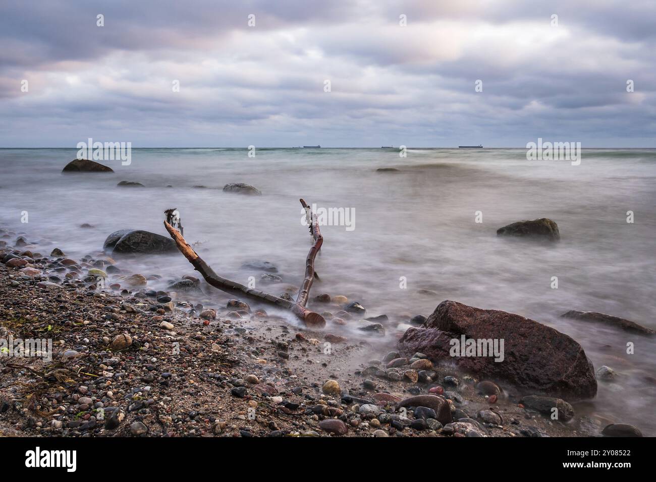 Bois flotté sur la côte de la mer Baltique près de Warnemuende Banque D'Images