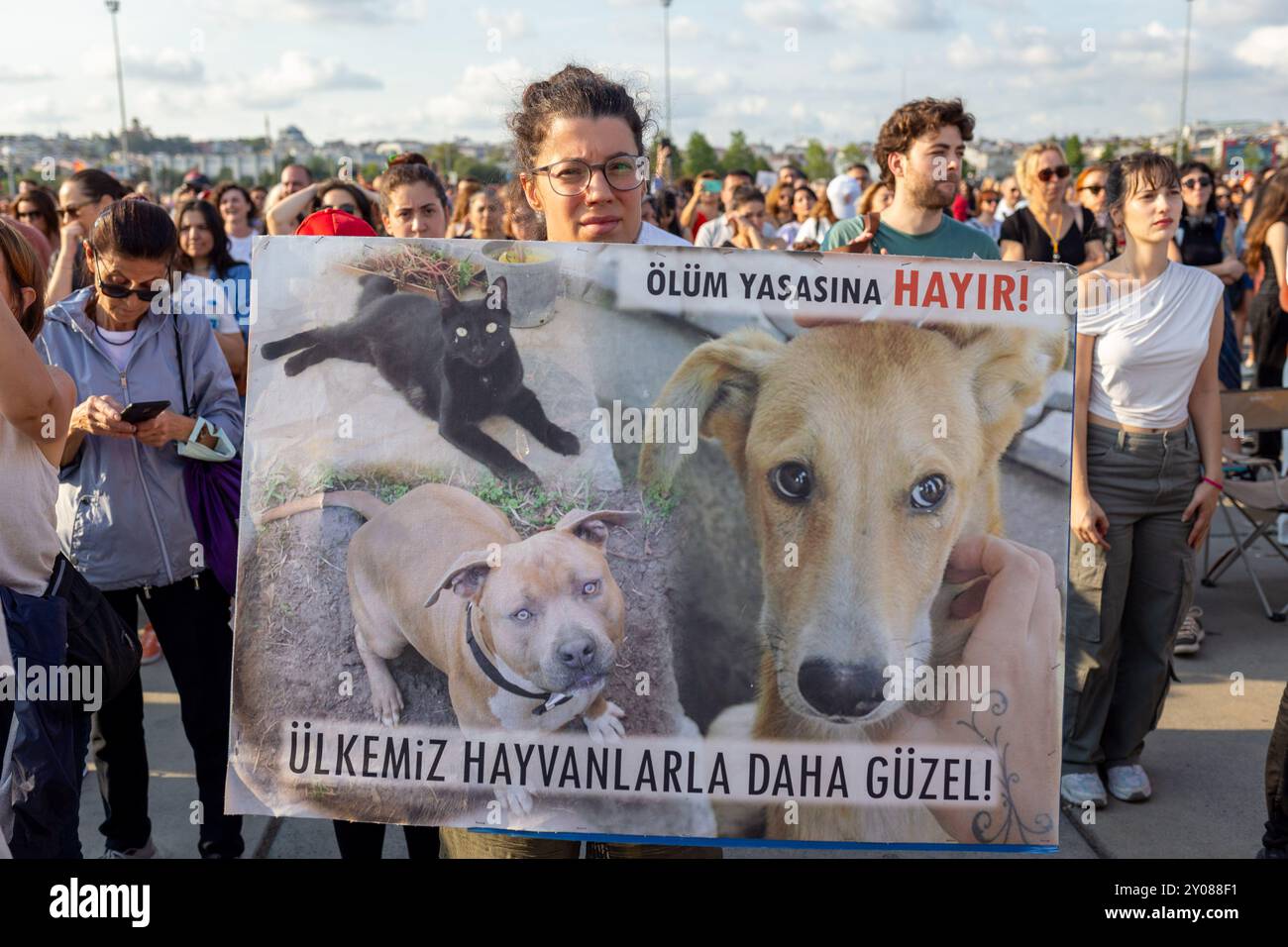 Istanbul, Turquie. 01 Sep, 2024. Les défenseurs des droits des animaux ont organisé une manifestation sur la place Yenikapi contre la proposition du Parti de la Justice et du développement (Parti AK) d'amender la loi sur la protection des droits des animaux. La proposition de 17 articles, qui a ouvert la voie à l’euthanasie pour les animaux errants, a été soumise pour la première fois à la Grande Assemblée nationale turque le 12 juillet et prévoit d’accorder aux municipalités le pouvoir d’euthanasier les animaux errants atteints de rage, de maladies contagieuses ou de maladies incurables. Crédit : ZUMA Press, Inc/Alamy Live News Banque D'Images