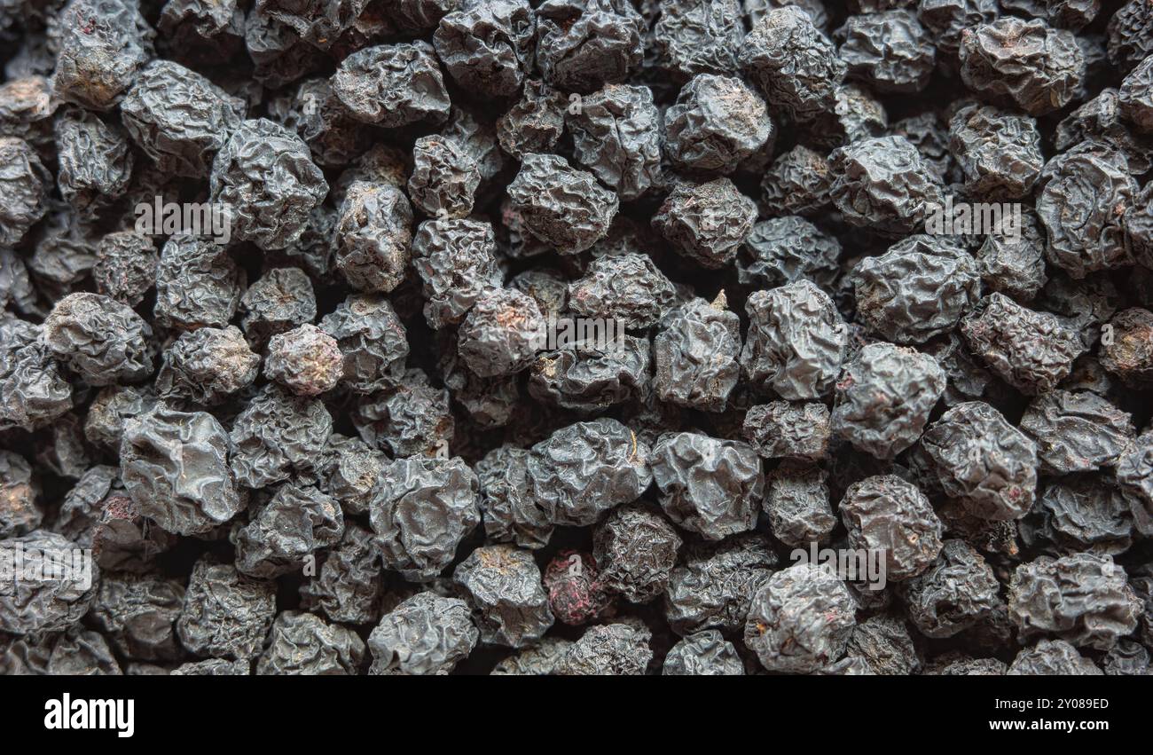 Gros plan photo d'Aronia melanocarpa séchée (chokeberry noir), mise au point sélective. Banque D'Images
