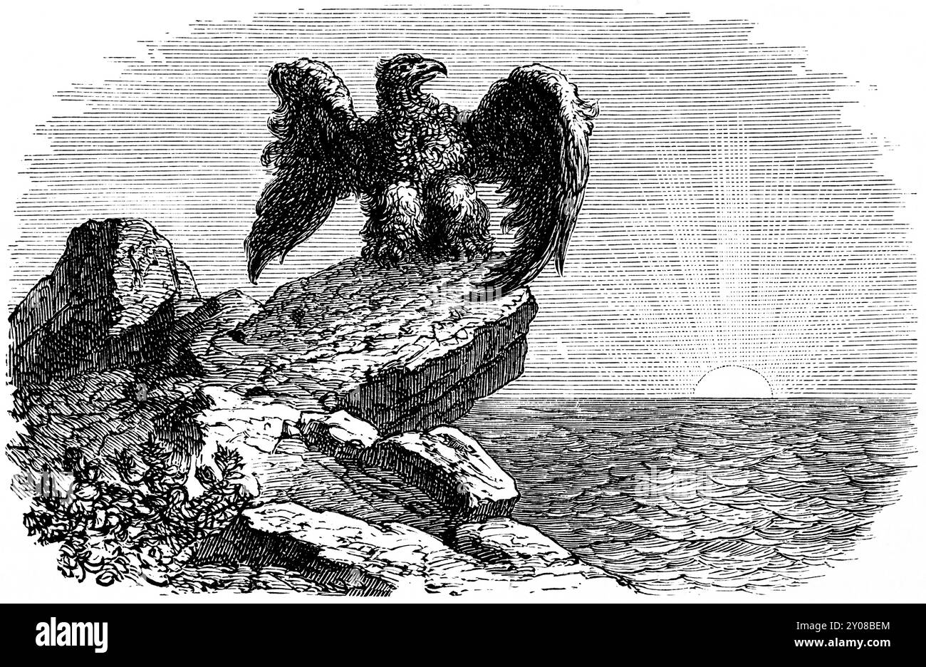 Symbole de la devise du Hohenzollern, du rocher à la mer, aigle avec ailes déployées, horizon, mer, coucher de soleil, Prusse, Brandebourg, historique il Banque D'Images