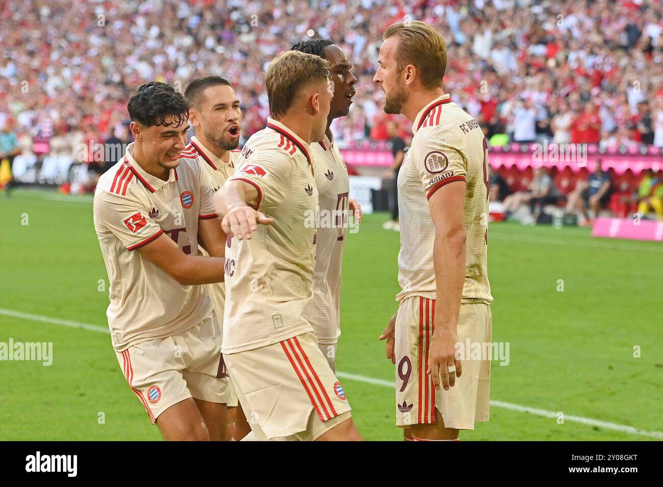 Munich, Deutschland. 01 Sep, 2024. Goaljubel Harry KANE (FC Bayern Munich) après le but pour faire 1-0 avec de gauche à droite : Aleksandar PAVLOVIC (FC Bayern Munich), Raphael GUERREIRO (FC Bayern Munich), Joshua KIMMICH (FC Bayern Munich), Mathys TEL (FCB), jubilation, joie, enthousiasme, action. Football 1. Bundesliga saison 2024/2025, 2.jour, jour de match 02 FC Bayern Munich - SC Freiburg le 1er septembre 2024, ALLIANZAREN A. ? Crédit : dpa/Alamy Live News Banque D'Images