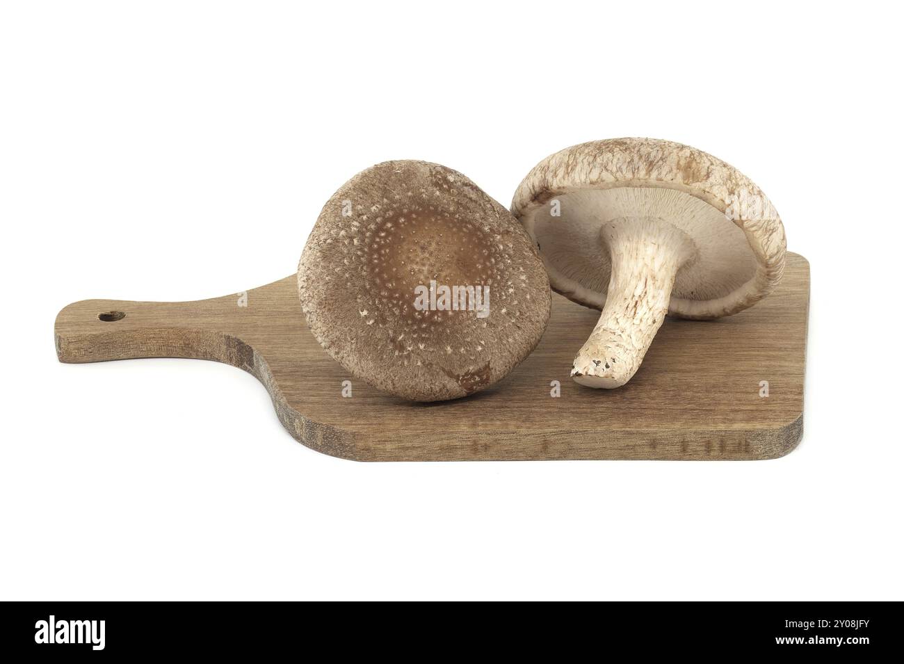 Champignons shiitake sur une planche à découper en bois en gros plan, isolés sur fond blanc. Herbes médicinales et champignons Banque D'Images