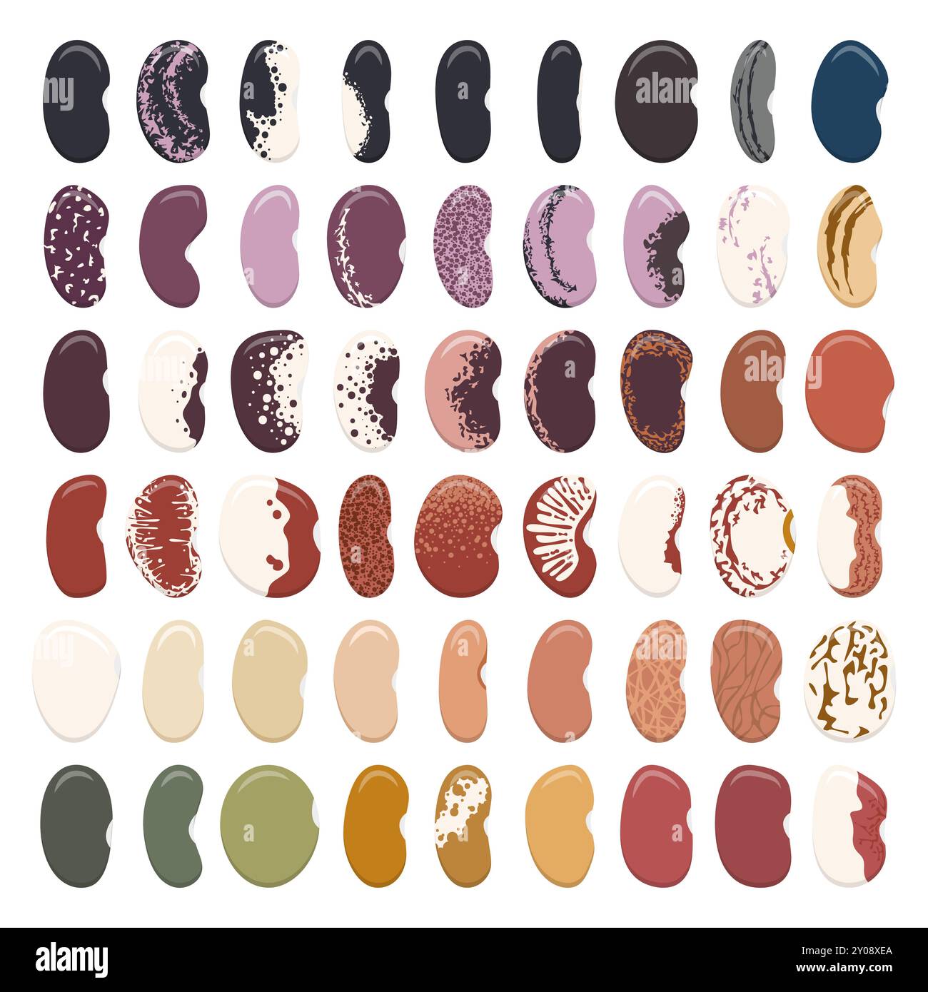 Ensemble d'illustrations en couleur avec des haricots verts, haricots rouges. Objets vectoriels isolés sur fond blanc. Illustration de Vecteur