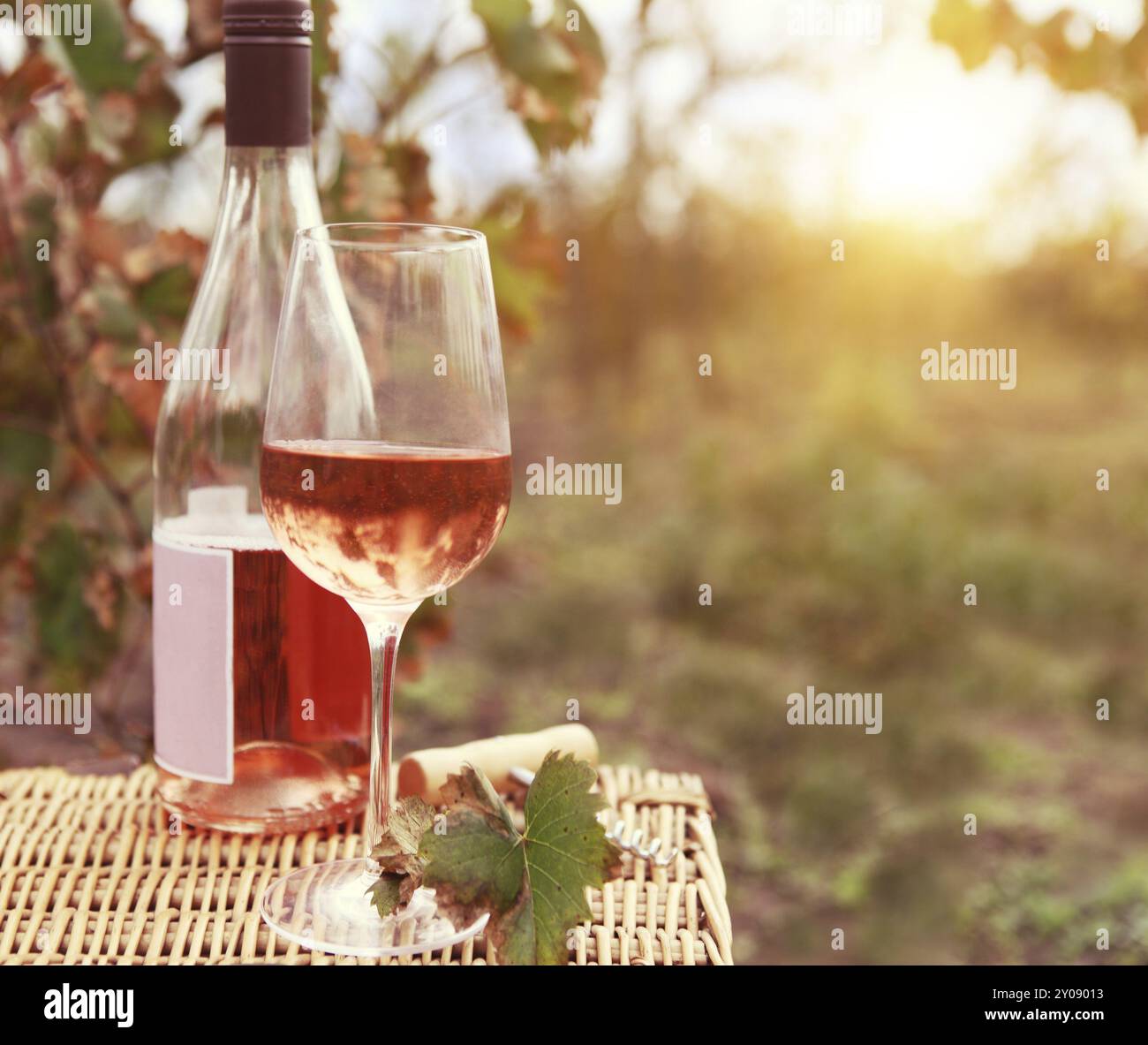 Un verre et une bouteille de vin rose le vignoble en automne. Temps de récolte Banque D'Images Un verre et une bouteille de vin rose le vignoble en automne. Temps de récolte Banque D'Images