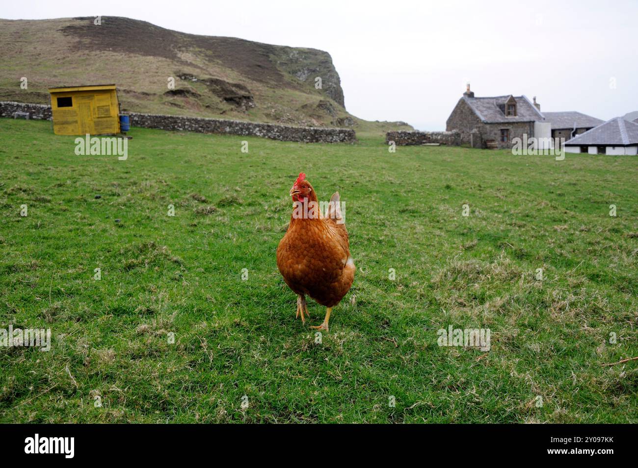 Photo de l'île de Sanda photographiée en 2012 : L'île privée de Sanda au large de la péninsule de Kintyre dans l'Argyll a été vendue selon des rapports L'île comprend sa propre taverne, sept maisons, un phare, une jetée, une cale, un héliport et plusieurs plages de sable. L'île est à 21 miles, par la mer, au sud de Campbeltown et à seulement 32 miles de Ballycastle en Irlande du Nord. Il a eu un certain nombre de propriétaires différents dans son histoire, y compris, en 1969, Jack Bruce, un membre du groupe de rock Cream. Il a également été rendu célèbre par le succès de Noël 1977 de Sir Paul McCartney et Wings Mull de Kin Banque D'Images