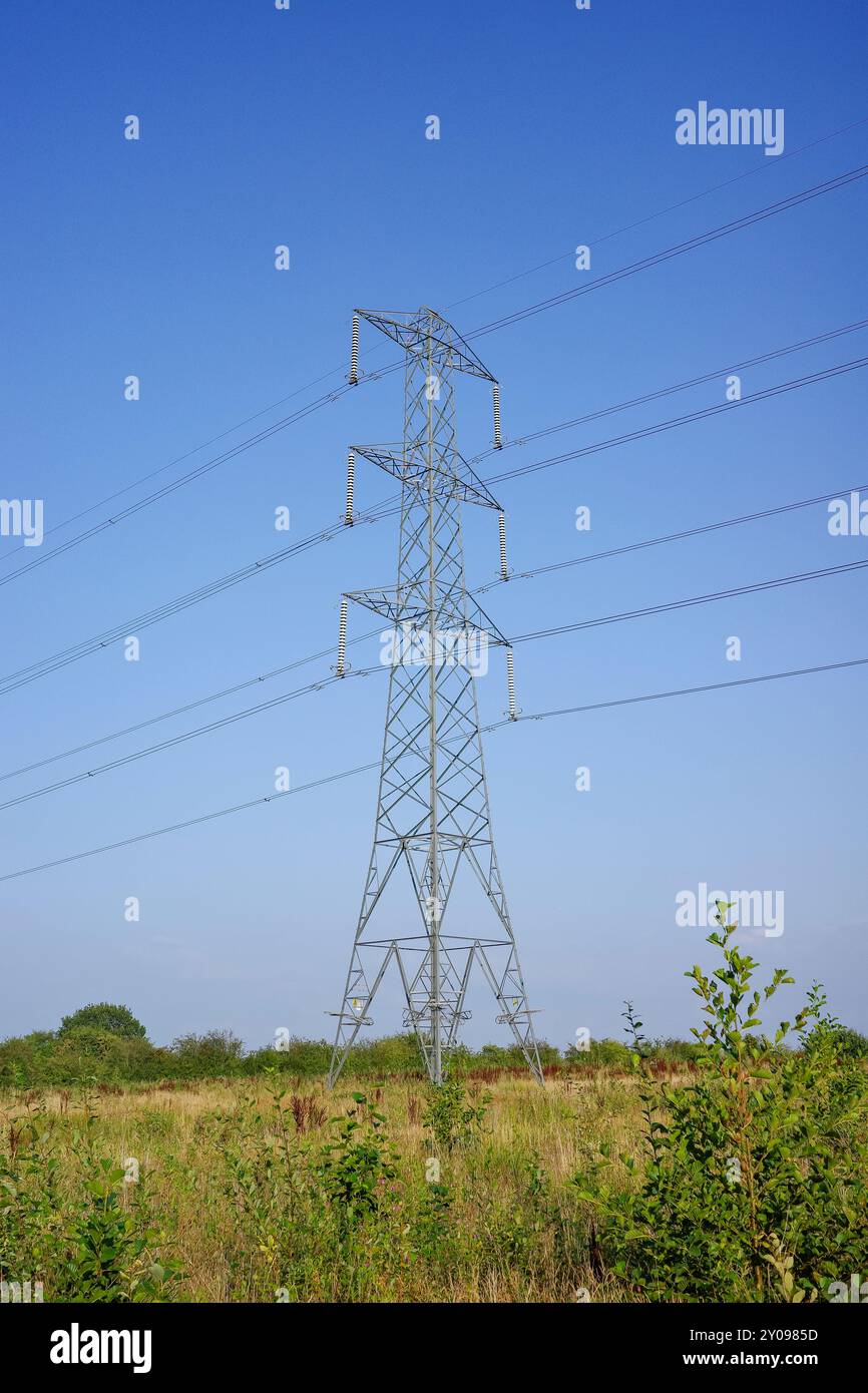 Tour de transmission d'électricité à haute tension debout dans un champ herbeux sous un ciel bleu clair sans nuages. Banque D'Images