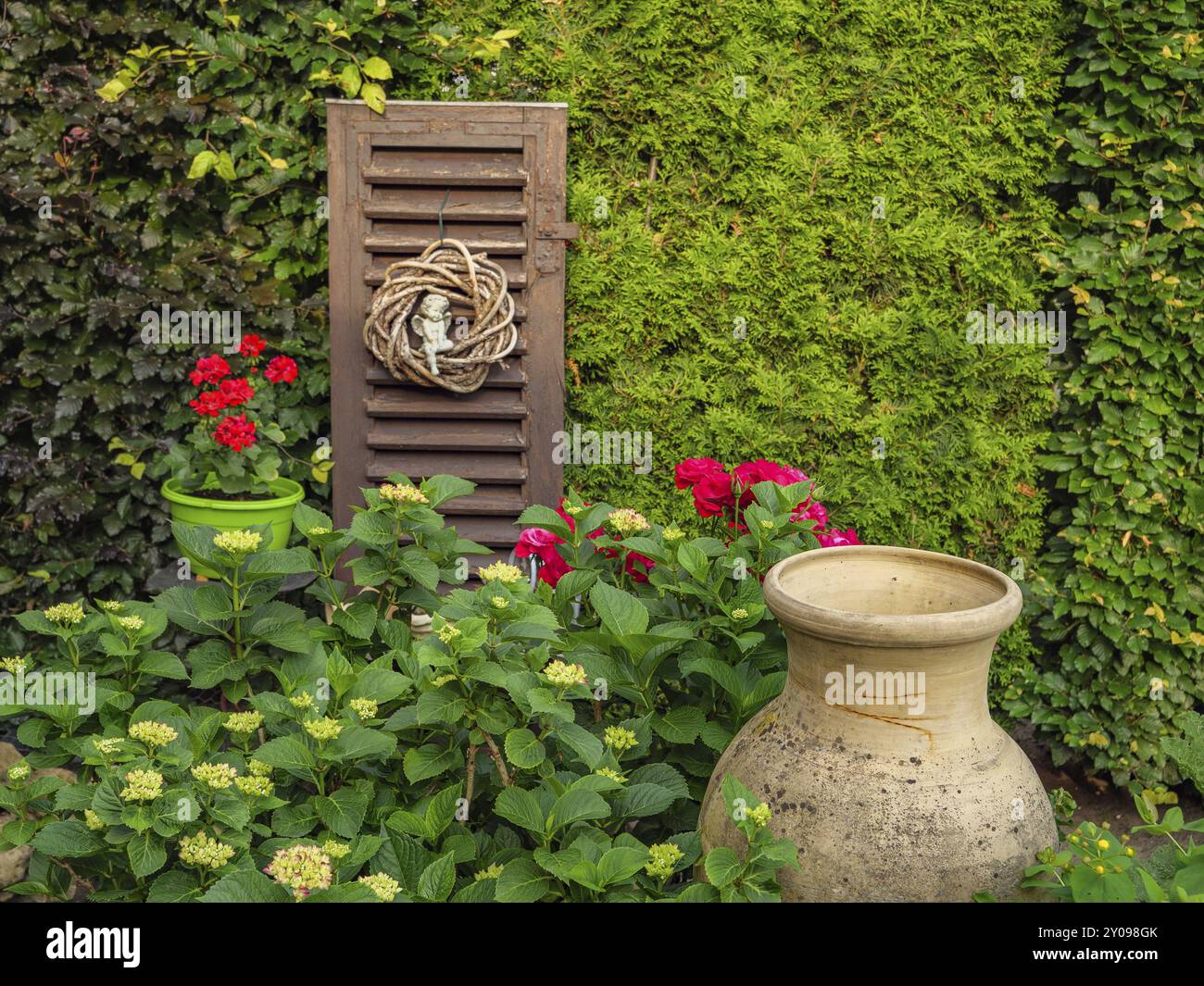 Une grande cruche rustique dans le jardin se trouve à côté d'un volet fermé, entouré de huskies rouges en fleurs et de plantes vertes luxuriantes, borken, muensterland, germe Banque D'Images