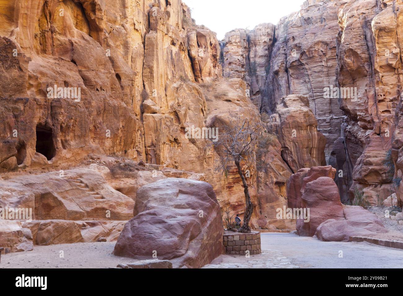 Le SIQ, l'entrée de la ville perdue de petra, jordanie Banque D'Images