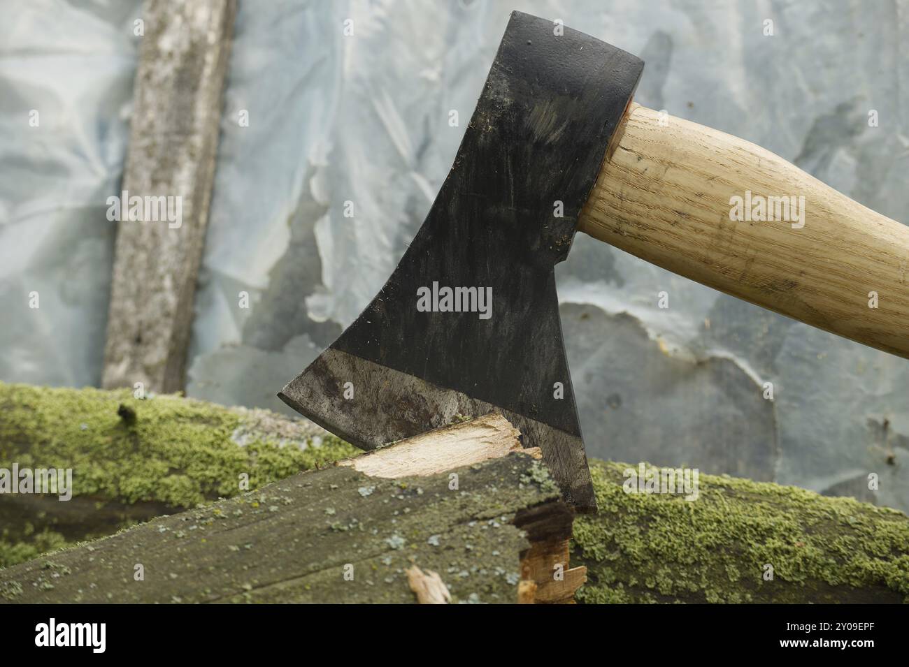 Hache avec un manche en bois brun et une tête noire logée dans un morceau de bois ou une souche d'arbre dans une forêt ou un environnement extérieur naturel Banque D'Images