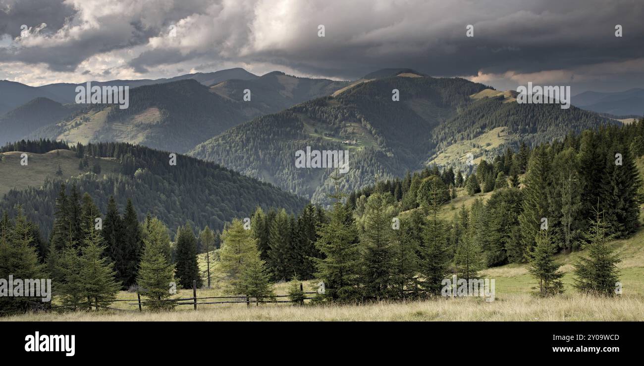 Vallée de montagne avant la pluie. Montagnes des Carpates, Ukraine, Europe Banque D'Images