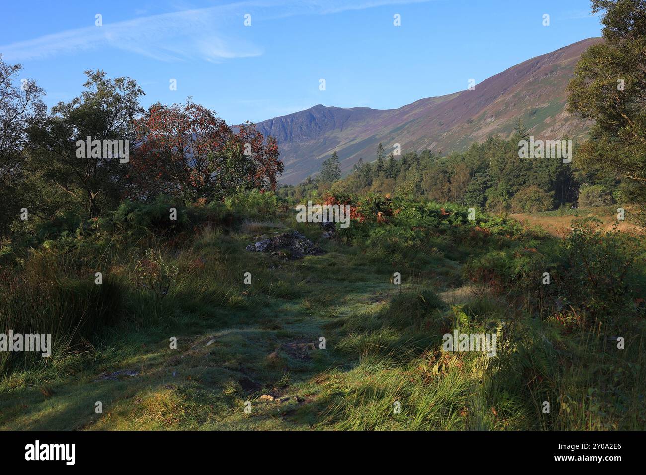 Une vue du paysage des Fells à Borrowdale, y compris High Spy et Maiden Moor depuis les rives sud de Derwent Water dans le Lake District Banque D'Images