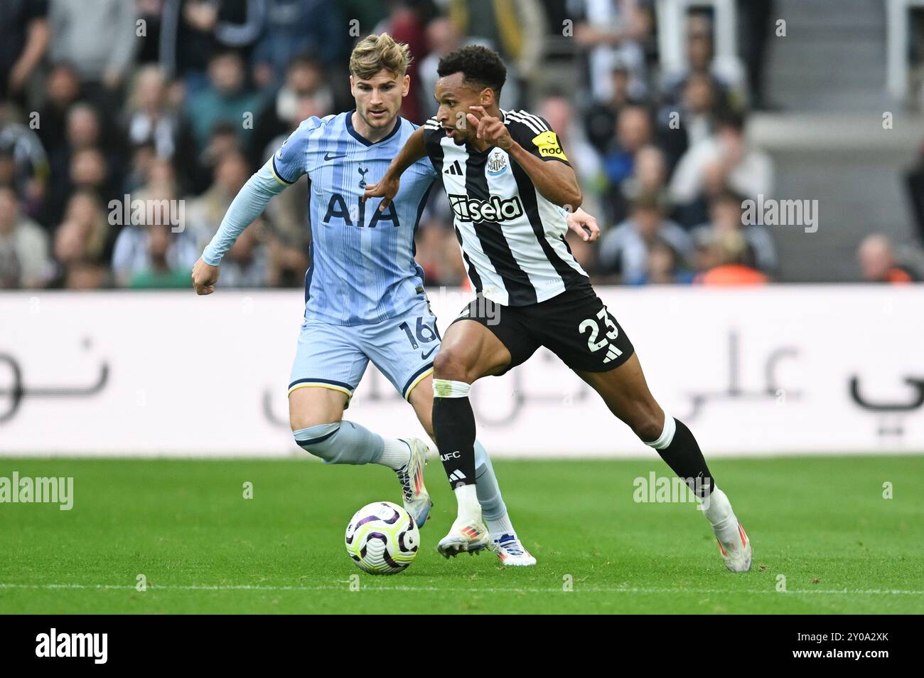 Newcastle upon Tyne, Royaume-Uni. 1er septembre 2024. Timo Werner de Tottenham Hotspur et Jacob Murphy de Newcastle United lors du premier League match à James' Park, Newcastle upon Tyne. Le crédit photo devrait se lire : Anna Gowthorpe/Sportimage crédit : Sportimage Ltd/Alamy Live News Banque D'Images