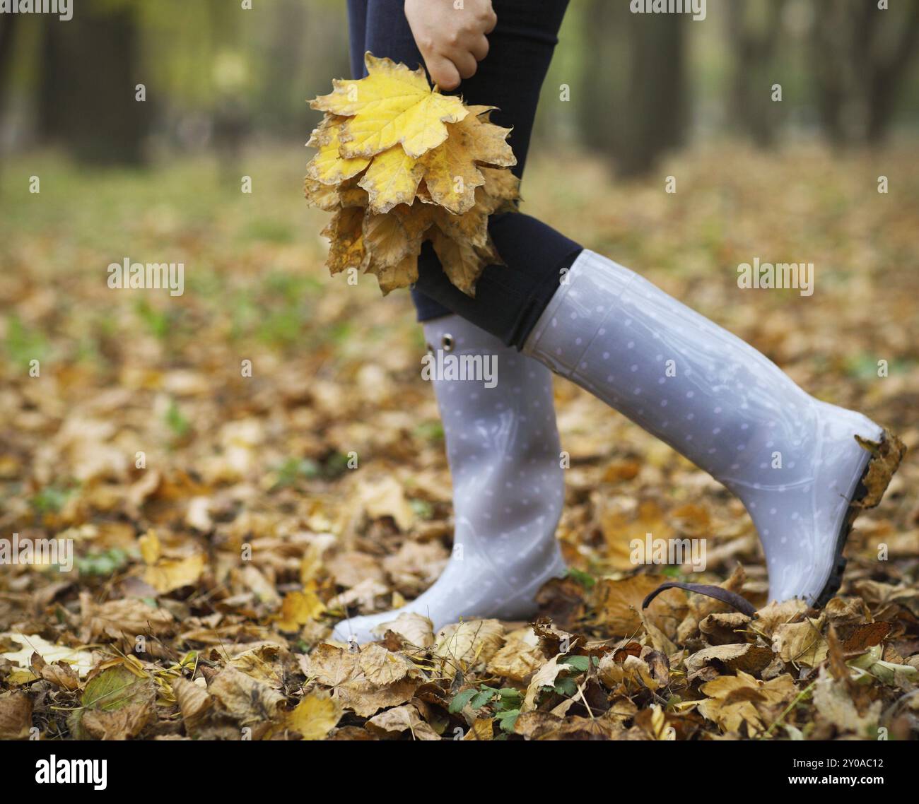 Woman having fun with jaune feuilles d'érable à l'automne park Banque D'Images