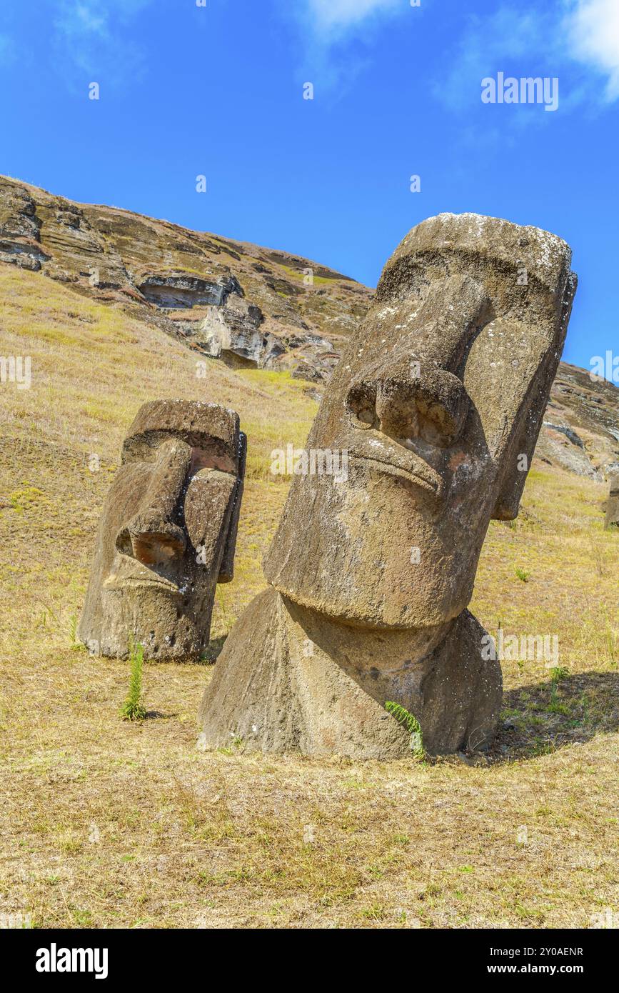 Moai à la carrière de Rano Raraku dans le parc national de Rapa Nui sur l'île de Pâques, Chili, Amérique du Sud Banque D'Images