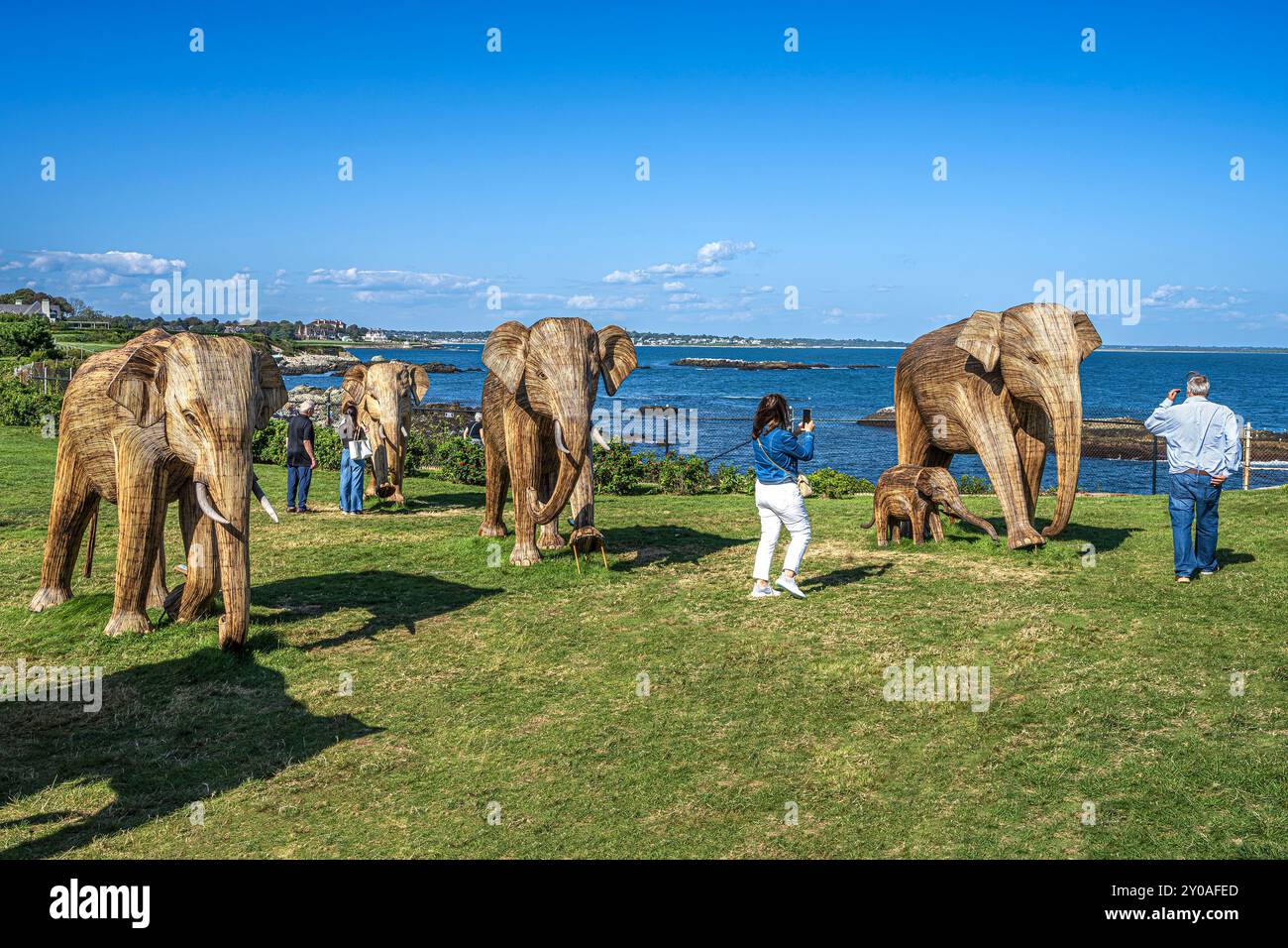 La migration des grands éléphants Banque D'Images