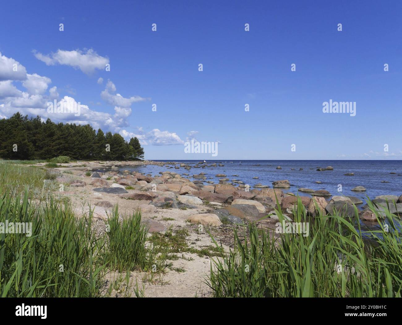 Mer Baltique près de Mersraga, Lettonie, Europe Banque D'Images