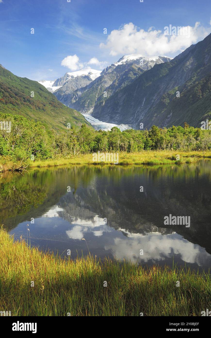 Peters Pool, glacier Franz Josef en arrière-plan, parc national du Westland, site du patrimoine mondial du sud-ouest de la Nouvelle-Zélande, Alpes du Sud, côte ouest, Sou Banque D'Images