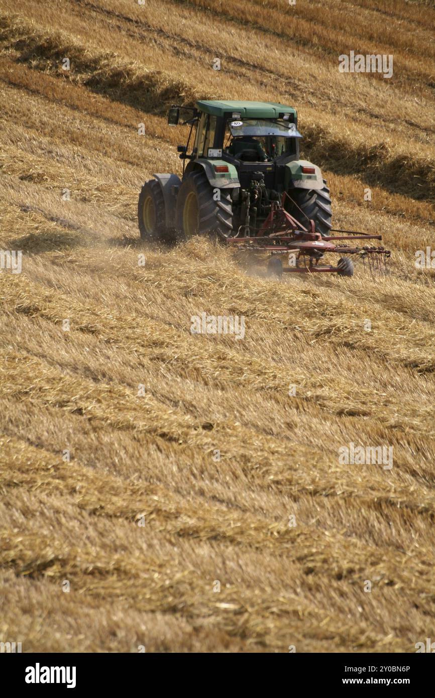 Tracteur sur un champ récolté Banque D'Images