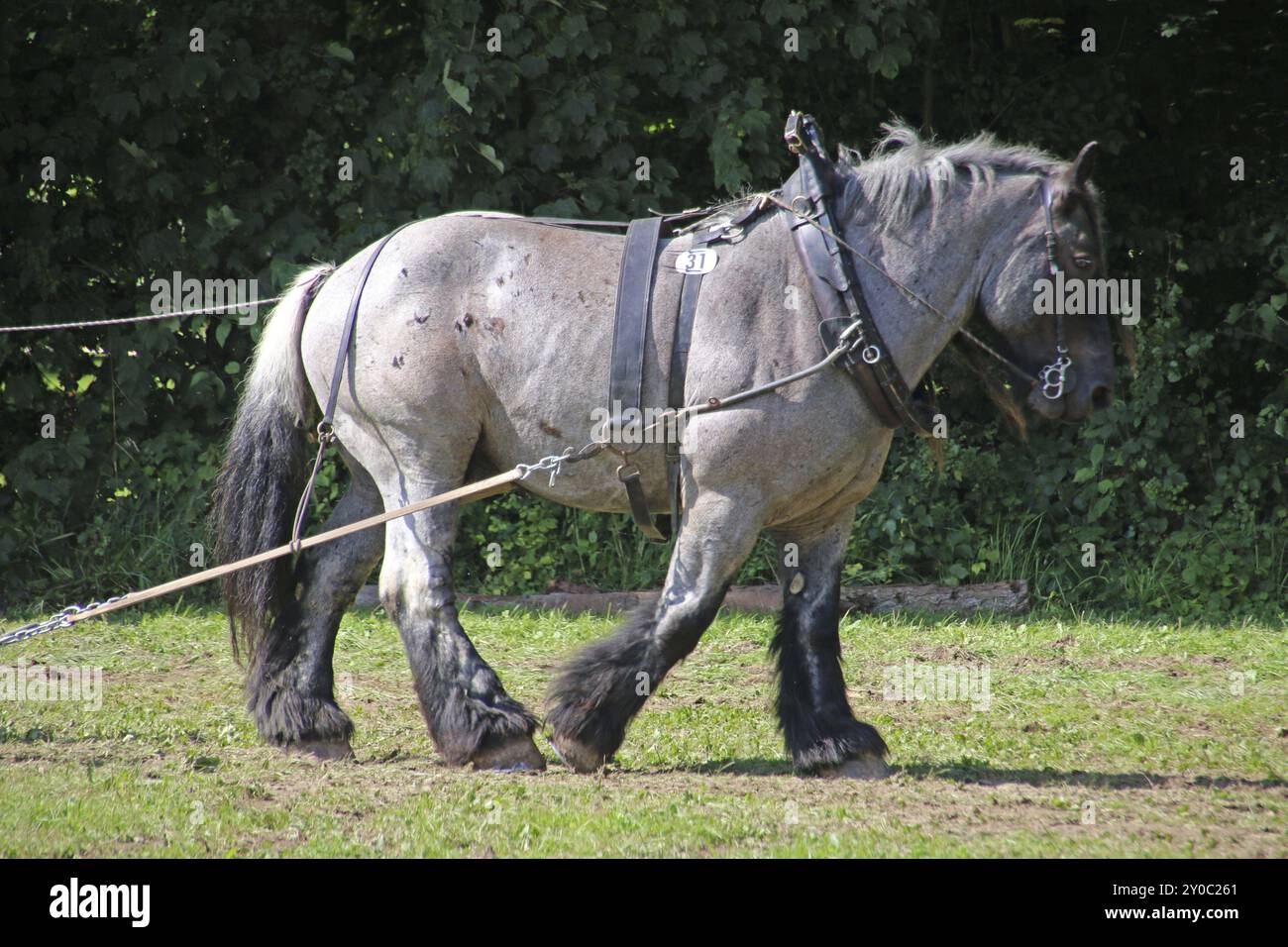 Brabant Flamand Banque D'Images