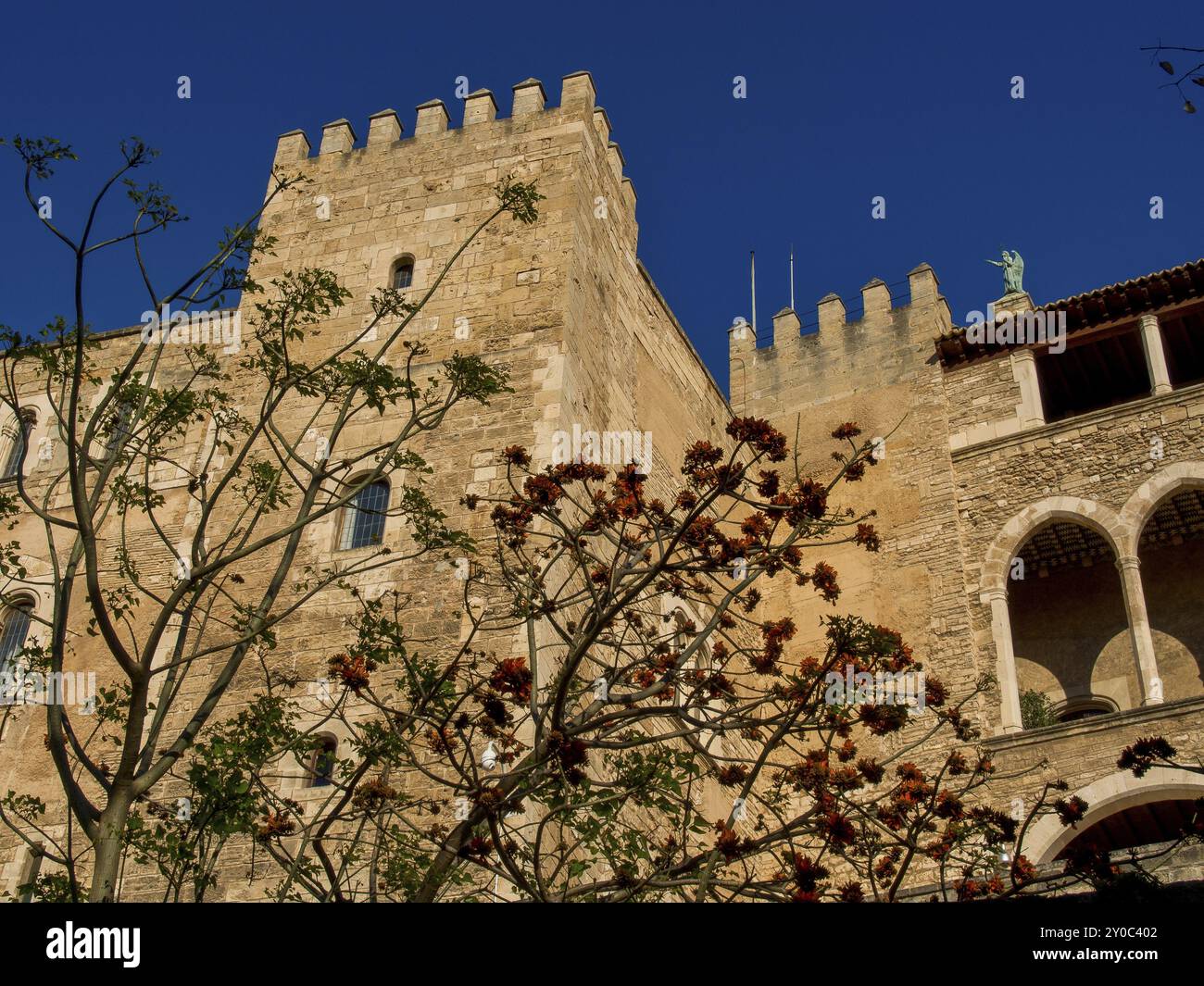 Vue détaillée d'un château de style médiéval avec ciel bleu, palma de Majorque, majorque, îles baléares, espagne Banque D'Images