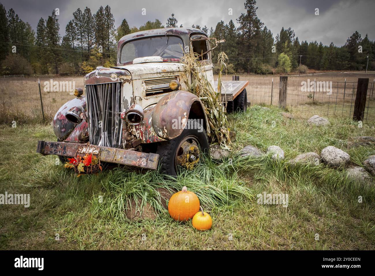 Un camion vintage entouré de citrouilles et de tiges de maïs exposées près de Rathdrum, Idaho Banque D'Images