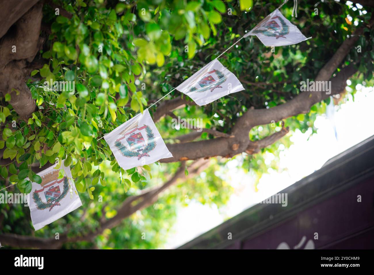 Armoiries à Oran, Algérie agitant comme des bannières de l'arbre dehors dans la rue. Vue détaillée des drapeaux blancs avec les bannières de la ville d'Oran Banque D'Images