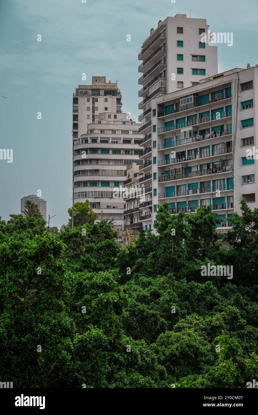 Vue depuis l'avenue Oran en bord de mer vers la nouvelle ville où se trouvent gratte-ciel et gratte-ciel, surplombant les arbres. Banque D'Images