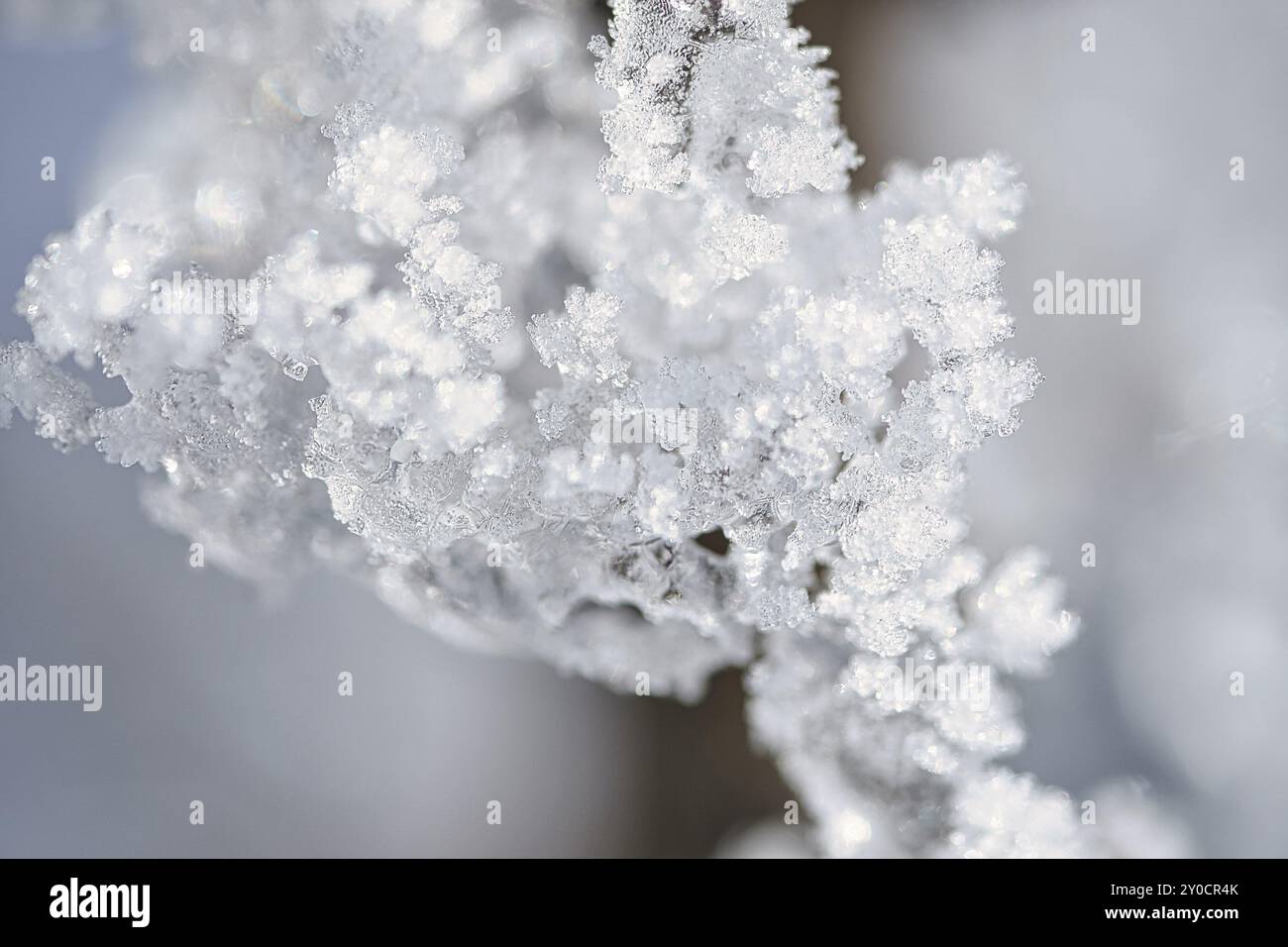 Les cristaux de glace ont gelé dans toutes les directions. De nombreuses formes texturées et bizarres ont été formées. Photo d'hiver de la nature Banque D'Images