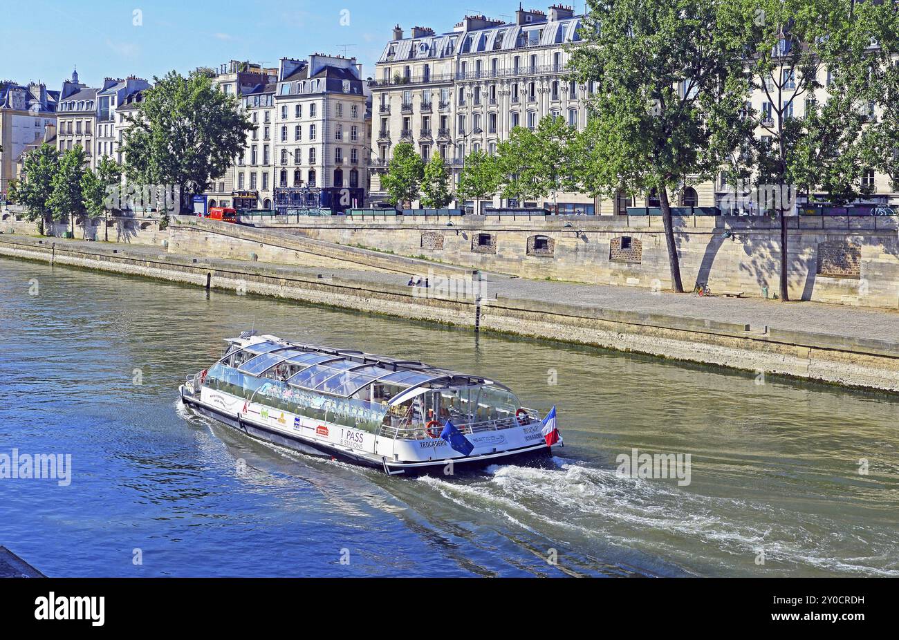 Seine, rivière, Ile Saint Louis, la Seine, bateau-bus, bulbes, arbres Banque D'Images